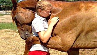 Tiere Treffen Ihre Besitzer Nach Jahren Wieder!