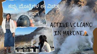 A day tour to HAKONE #hakone #owakudani  #blackegg #volcano #kannada #youtube #day #yt