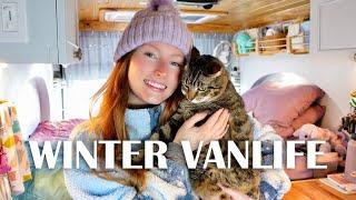 Winter VANLIFE with a CAT | A Day In My Life VLOG | Solo Female Travel