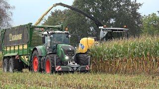 Mais hakselen door loonbedrijf Altena met New Holland FR9050 en 2 Fendt 930 Vario trekkers (2024)