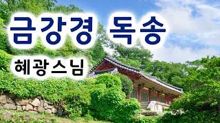 금강경 독송 혜광스님 / 금강반야바라밀경(金剛般若波羅蜜經)