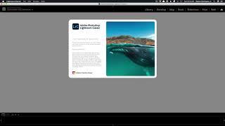 How To Access Canon's ICC Profiles in Lightroom for Mac