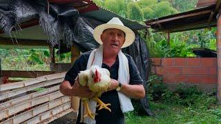 TRABAJANDO EN EL CAMPO - LOS MONTAÑEROS