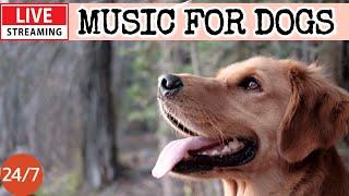 [LIVE] Dog MusicDog Calming Music for DogsAnti Separation Anxiety Relief  Dog Sleep Music11