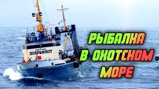 Крупнейший плавучий рыбозавод. Продолжение