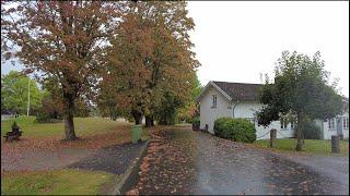 Rainy autumn walk in the Swedish town Skene. Residential areas, fields, a school and some cows