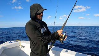 How To Rig a Spinning Rod for Offshore Live Bait Fishing