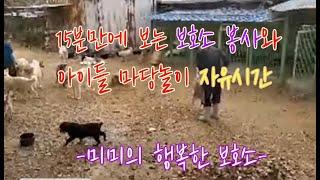 유기견보호소봉사와 마당놀이 자유시간 #미미의행복한보호소 #유기견유기묘보호소 #유기견보호소후원봉사