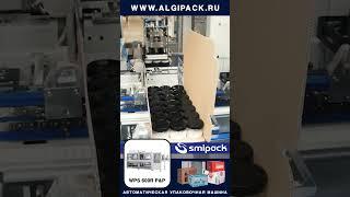Алджипак автомат WPS 600R P&P групповая упаковка продукции в плоских банках в короб #shorts #robot