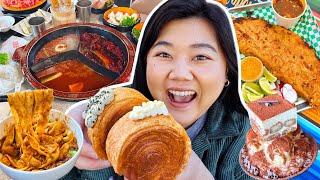 Trying NEW BAY AREA EATS! South Bay Food Tour (spiral croissants, giant birria taco + more )