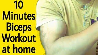 10 Minutes Biceps Workout at home ️ || Solid S TV