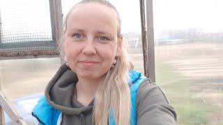 Посылка с шикарнейшими розами от Анечки ( РОЗЫ, творчество в саду и не только). Очень довольная!)))