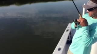 06/09/2016 redfish action St Simons Island with Captain Scott Owens and Southeastern Angling