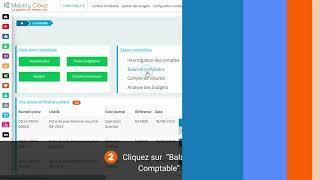 Consultation de la balance des comptes , Comment ça marche