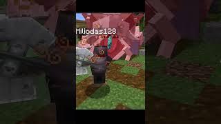 Minecraft bugs: #shorts #5