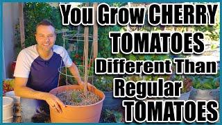 Grow Cherry Tomatoes in a Container