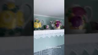 ЛЕТО ДАЧА ОТПУСК ХОЛУЙ НАРОДНЫЕ ГУЛЯНИЯ РЫНОК ОГОРОД ПЕСНИ ПЛЯСКИ КАНИКУЛЫ ДЕНЬ ГОРОДА МЕНТАЛЬНОЕ ПП