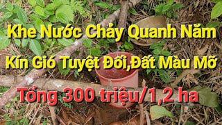 (số 679)Chỉ 3.0.0 Triệu Sở Hữu Vườn Kín Gió Đất Tốt Nước Bao La #bandatdaknong #bds#nhadatdaknong