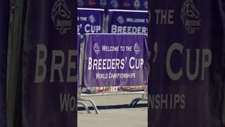 Picture perfect scenes at the #BreedersCup!  #BC23