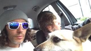 David, Doodles and Sophie in the country