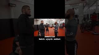 Xabib Nurmagomedov #mma #ufc #sport #shorts #khabib