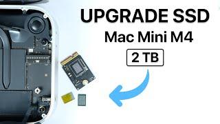 Cara Upgrade SSD Mac Mini M4