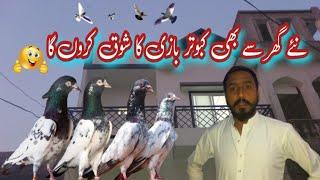 New Ghar main kabootar bazi hogi || Khokhar pigeons club || haider pigeons club || kabootar lovers