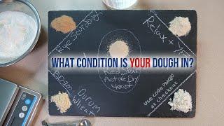 What Condition is Your Dough In?