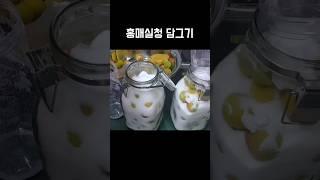 홍매실청 담그기#매실청#홍매실청#매실