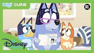 Bluey | Brief | Disney Channel NL