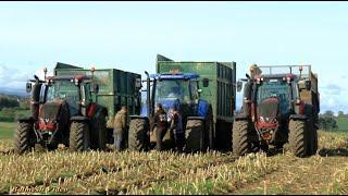 Maize in the Mud with "Pusher" Tractor.  Krone Chopper.