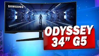 Samsung Odyssey G5 34" Zoll Test: Curved Monitor Erfahrungen