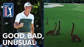 Hovland’s nasty chipping, Mayakoba monkey business & Huh’s questionable ace