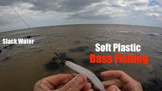 Soft Plastic Bass Fishing