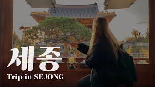 나 혼자 세종 당일치기 여행 | 국립세종수목원 야간개장 | 이응다리 | Trip in Sejong