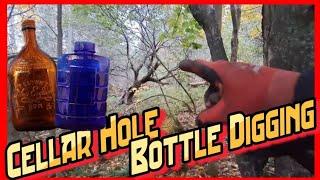 2025 Bottle Digging The BIG Heap & Metal Detecting An 1800's Cellar Hole ©