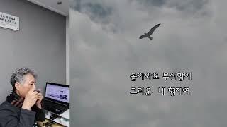 돌아와요 부신항에 - Am, C키 양성호하모니카