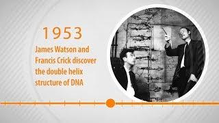 Human Genome Timeline Animation