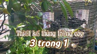 089 TRỒNG CÂY, Ủ RÁC & NUÔI GÀ thiết kế chậu đất trồng với mô hình 3 trong 1 trên vườn sân thượng