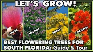 BEST FLOWERING TREES FOR FLORIDA GARDENS