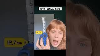 미국누나가 알려주는 고추크기