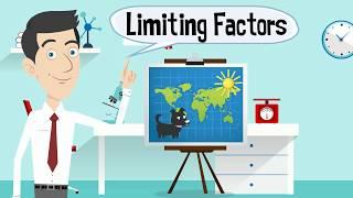 Limiting Factors in an Ecosystem