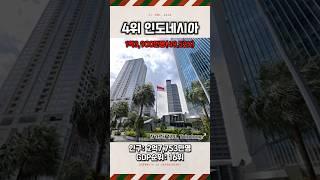 "세계에서 유튜브 사용자가 제일 많은 국가 TOP 10"#shorts