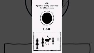 What is Aperture (F) explained ?! #tutorial #photography #aperture #shorts #camera