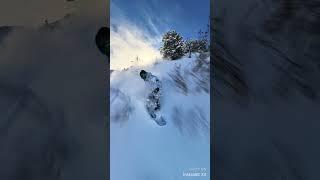 Trying this YT Shorts thing. February 27 2024. #snowboarding #freeride #powder #libtech #insta360