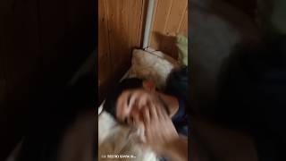 Шапалах #прикол #юмор #топ