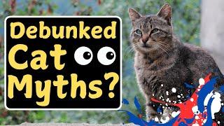 False Stereotypes About Cats (Negative Associations!)