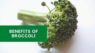 Benefits Of Broccoli | Mishry Reviews