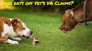 Who Benefits from Veterans VA Disability Compensation Claims?