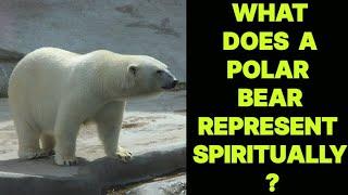 WHAT DOES A POLAR BEAR REPRESENT SPIRITUALLY ?